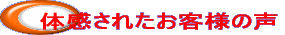 ̊ꂽql̐